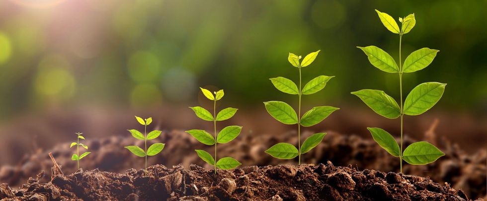 Why Growth Is Important In A Relationship