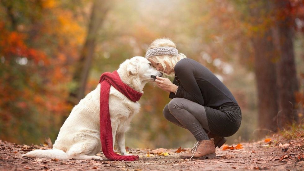 9 Reasons Why Dogs Are Better Than Humans