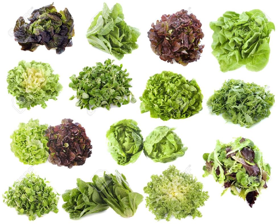 A Definitive Ranking Of Lettuce Types