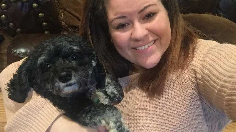 An Open Letter to a Dog Abuser