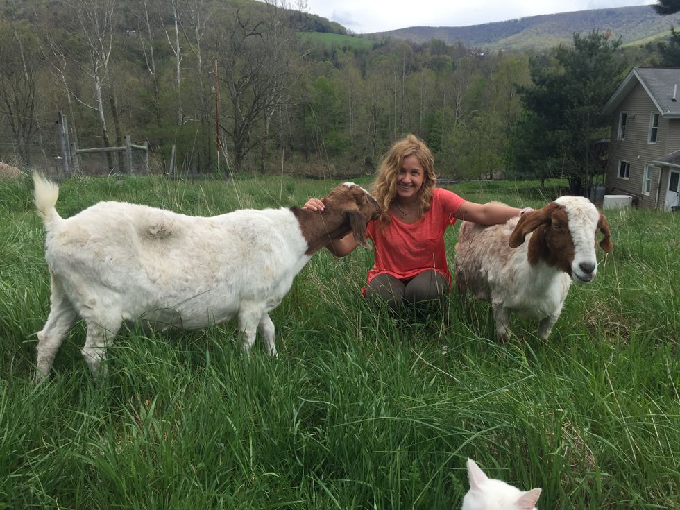 5 Easy Ways To Help Animals