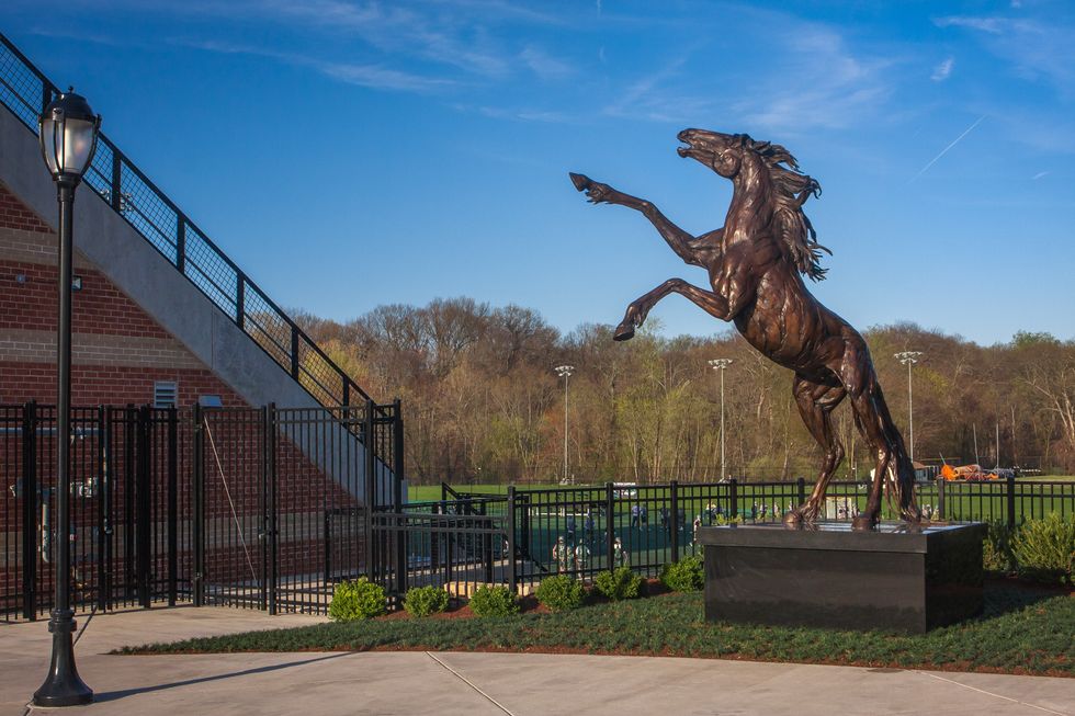 Urban Dictionary: Stevenson University Edition