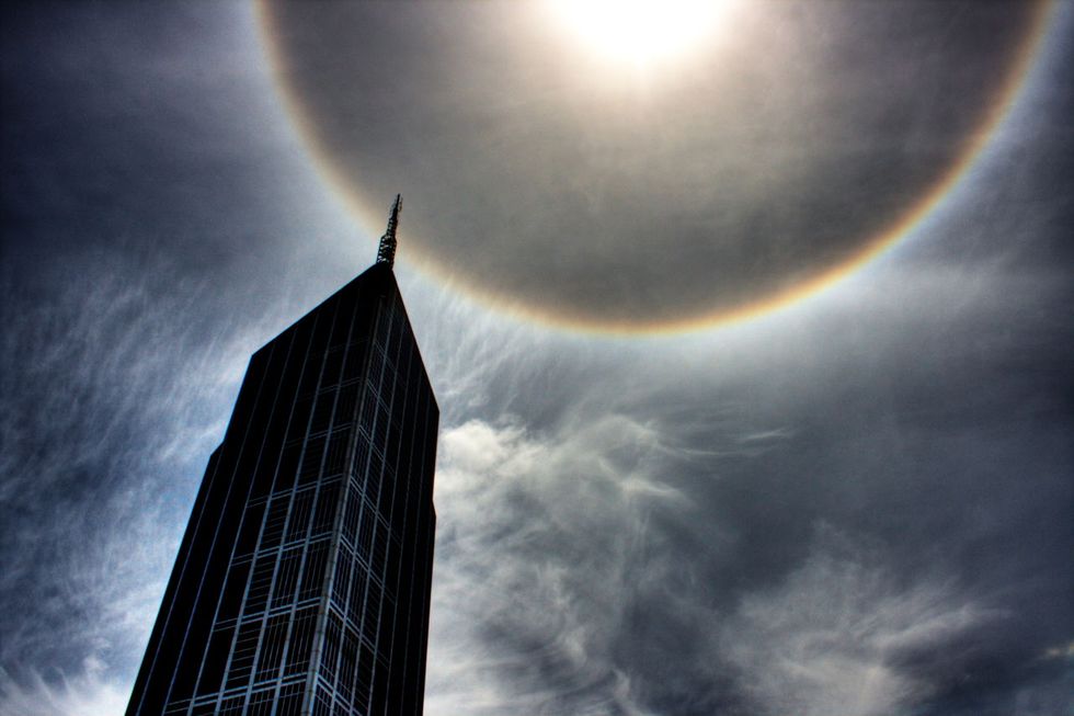 What Is The Halo Effect?