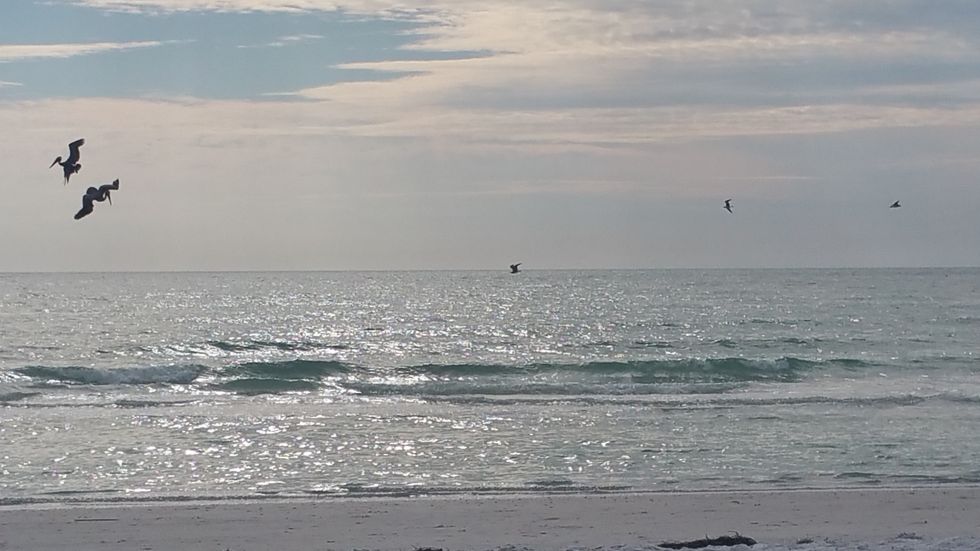 11 Reasons Why College Students Would Rather Be At The Beach Than Studying For Finals