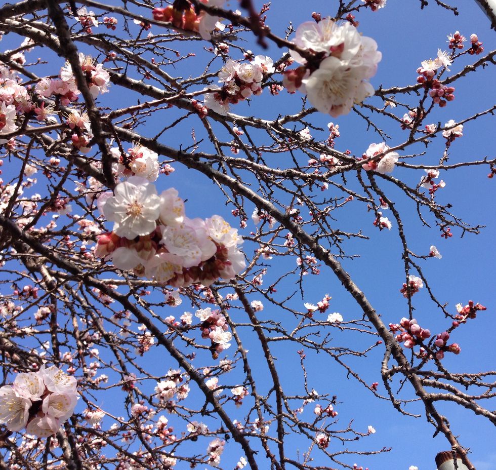 How Spring Can Change Your Mood.