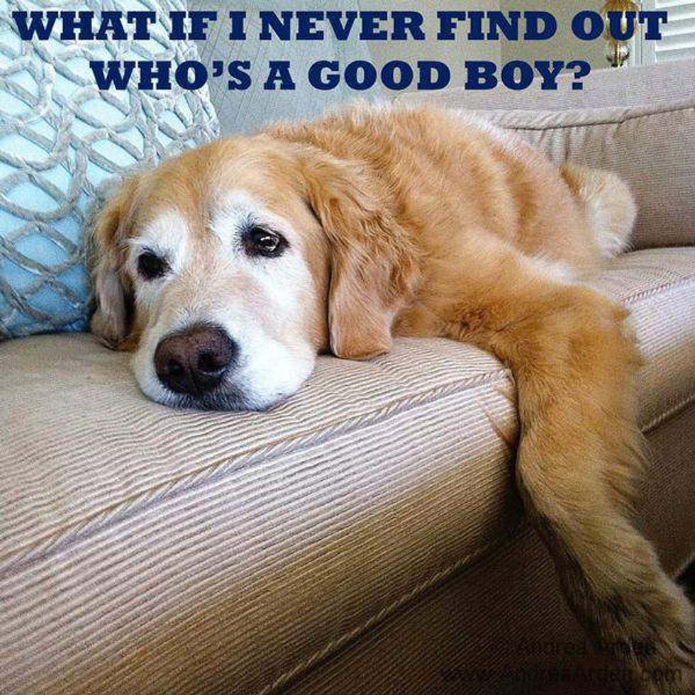 A Shoutout To My Overachievers