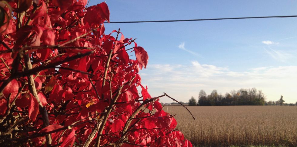17 Reasons Fall Is The Best Time Of The Year