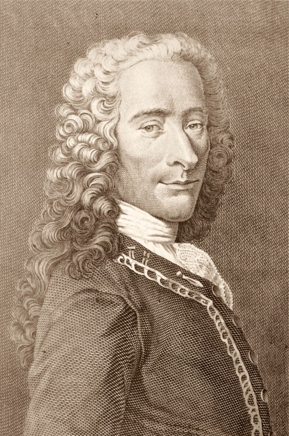 Life Lessons From Voltaire