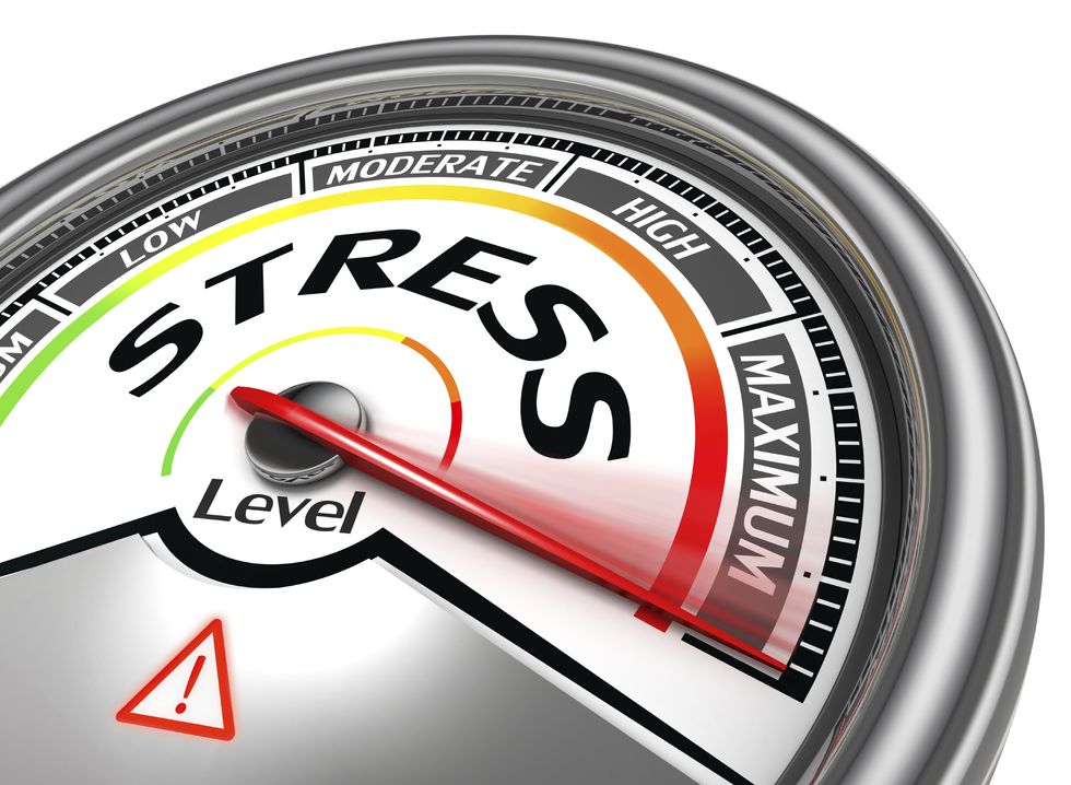 How Stress Impacts Our Bodies