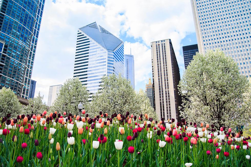 13 Chicago Activities Made for Springtime