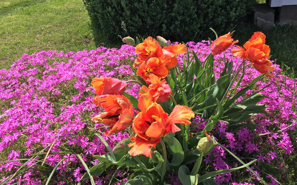 10 Encouraging Bible Verses For Exam Week