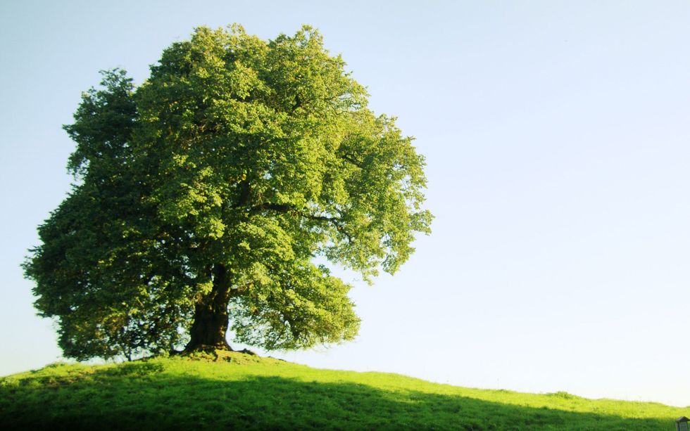 Perks of Being Alone