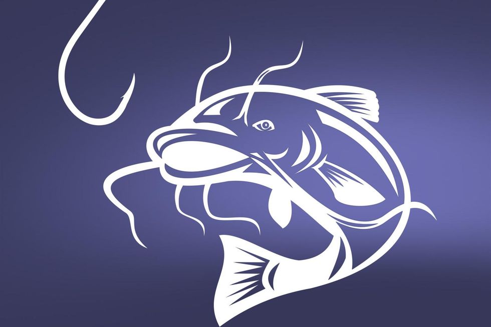 How to Catch a Catfisher