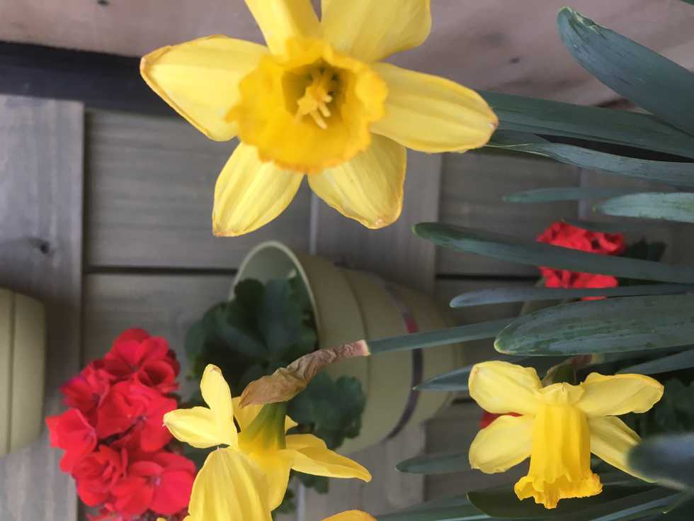 10 Best Things About Summer As A College Student