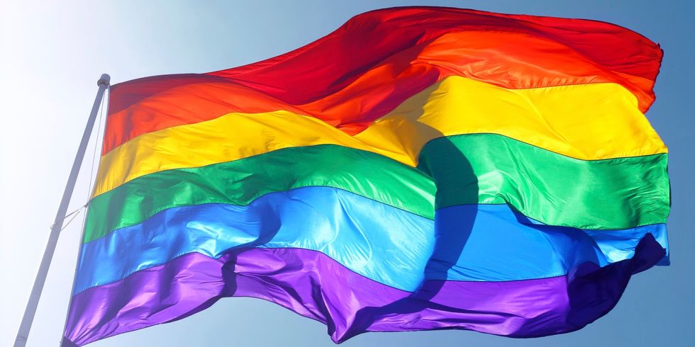 WashU Professor Organizes First Homophobe Pride Parade