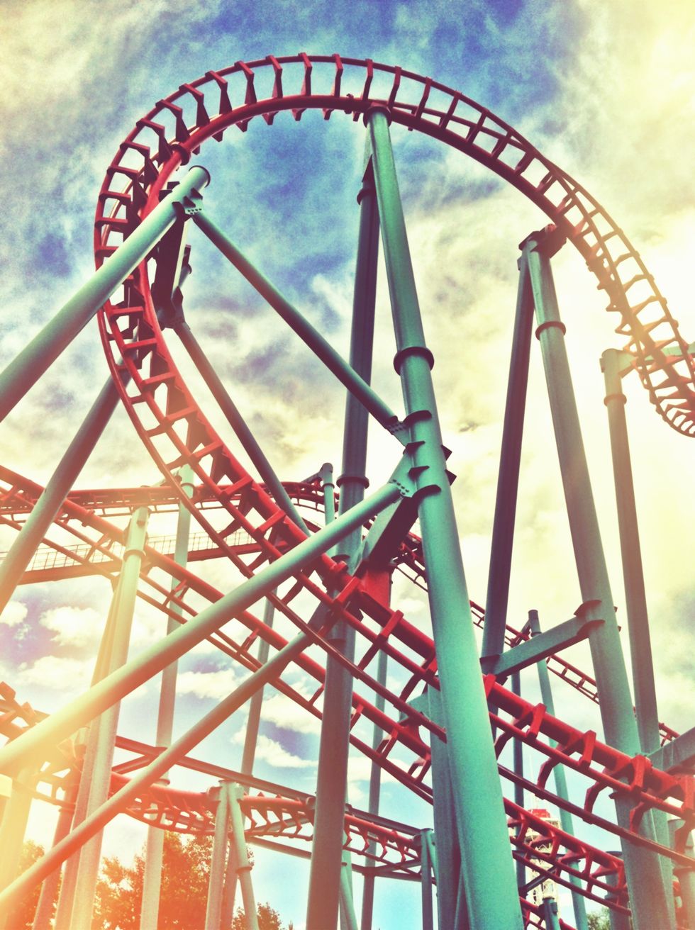 The Roller Coaster Of Life