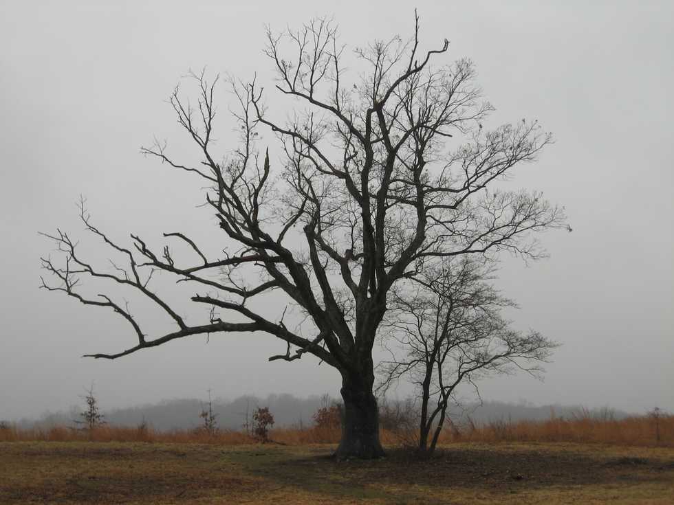 7 Haunted Reasons To Avoid New Jersey