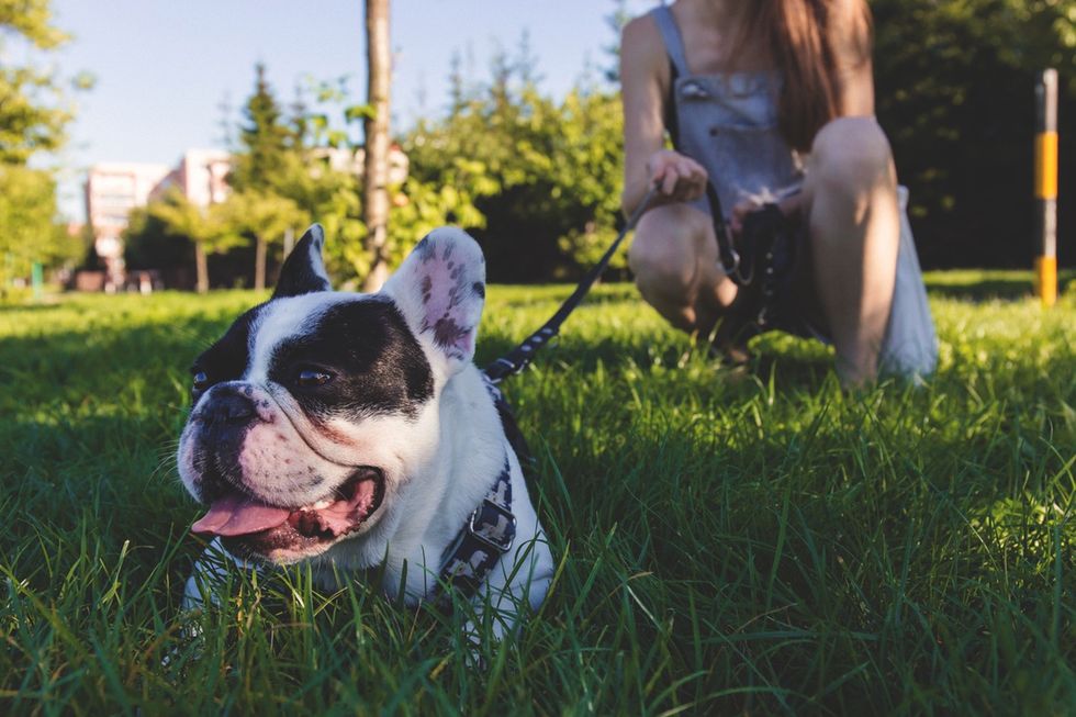12 Thoughts College Students Have About Their Dogs