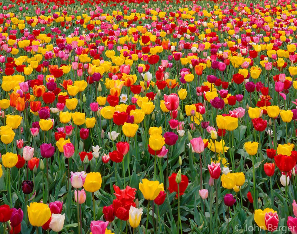 Ohio Spring May 8 Things To Do In Northeast Ohio This Spring | The Odyssey Online
