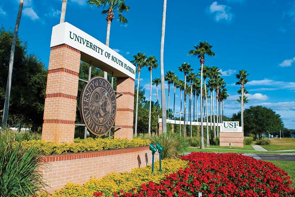 6 Times I Know USF Is The Place For Me