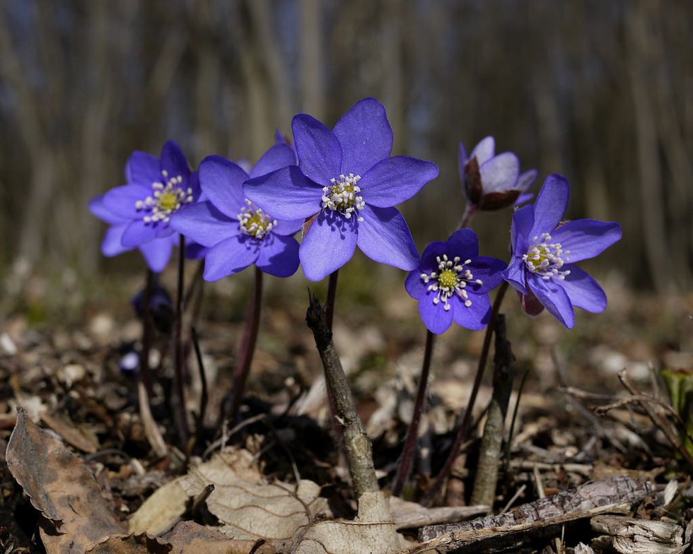 10 Terrible Things About Spring | The Odyssey Online