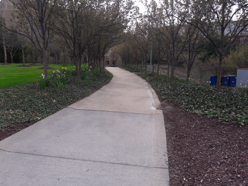 To My Friend With Mental Illness