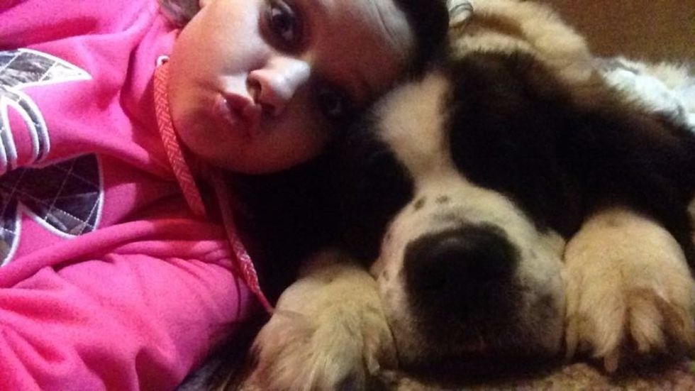 A Letter To My Dog In Heaven