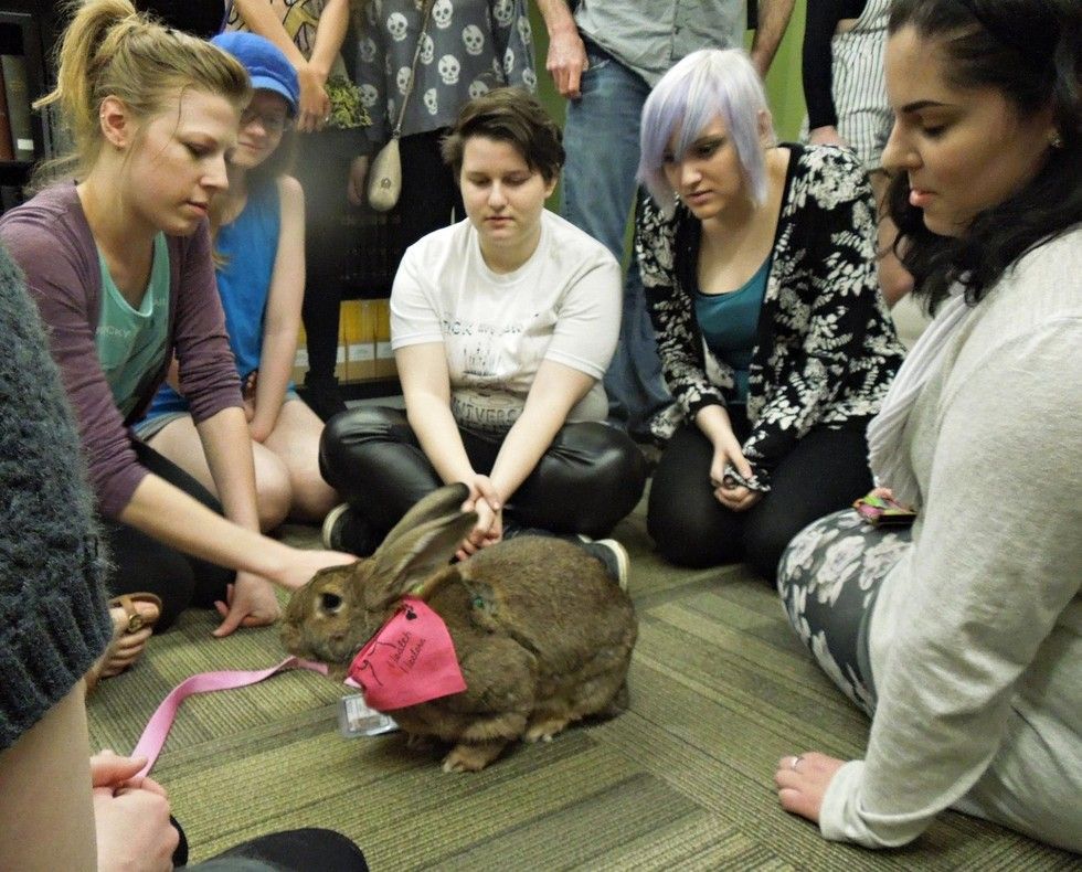 Therapy Animals Can Come In All Shapes And Sizes