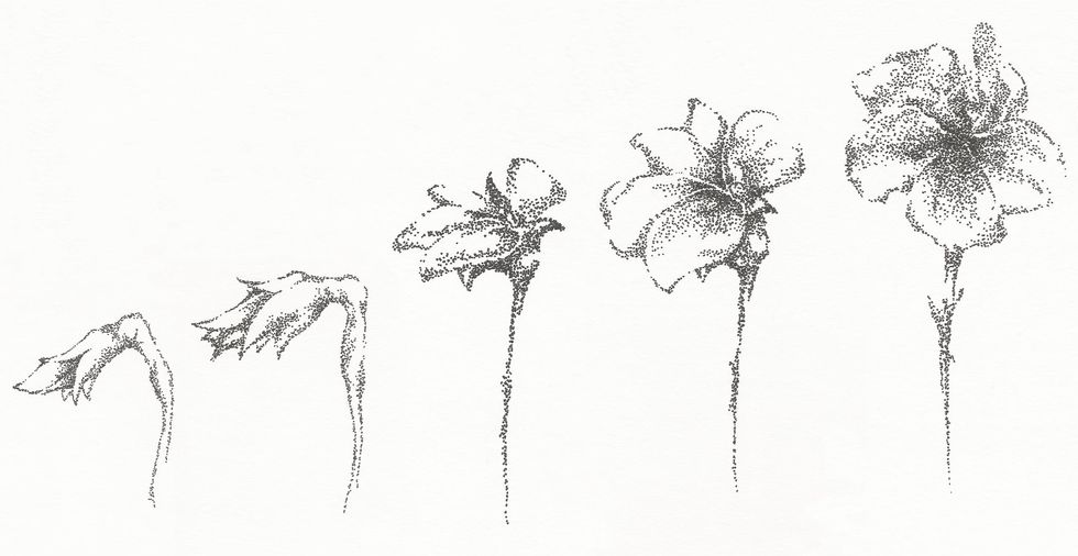 From Boring To Blooming