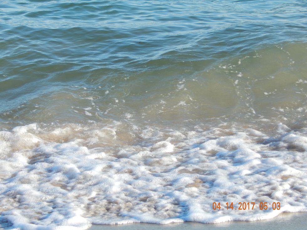 Are You A Oceanholic ?