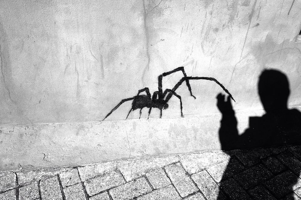 Top 15 Most Appealing Phobias