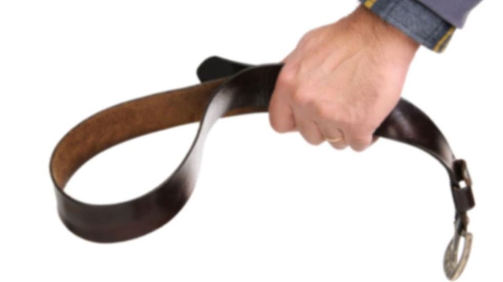 No, I Won't Be Spanking My Dogs And My Children.