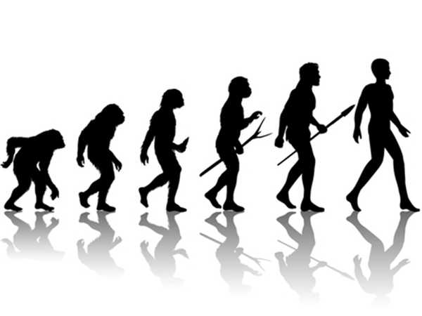 5 Evolution Misconceptions Explained
