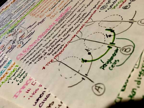 11 Stages Of Midterm Week We All Know