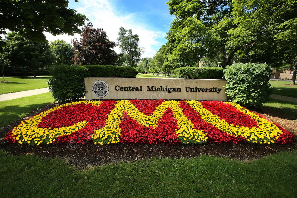 Here's To Freshman Year