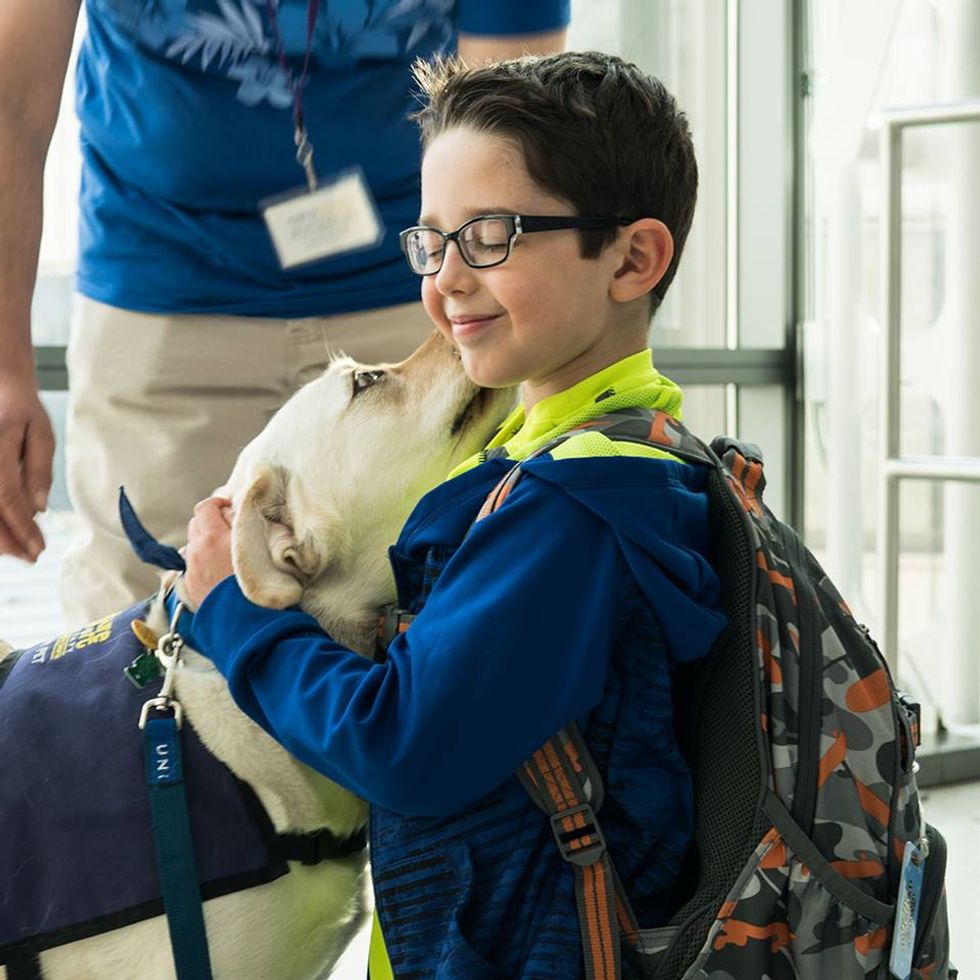 United Airlines and Social Media Backlash