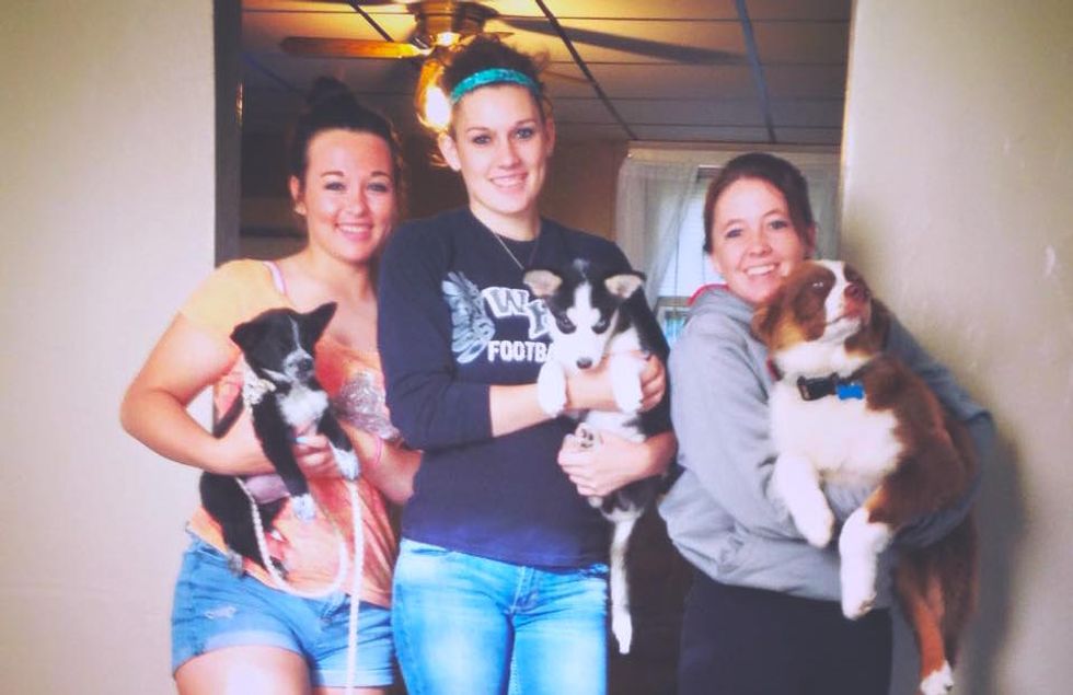 Spank Your Dogs And Your Children If You Want To Raise Them Right