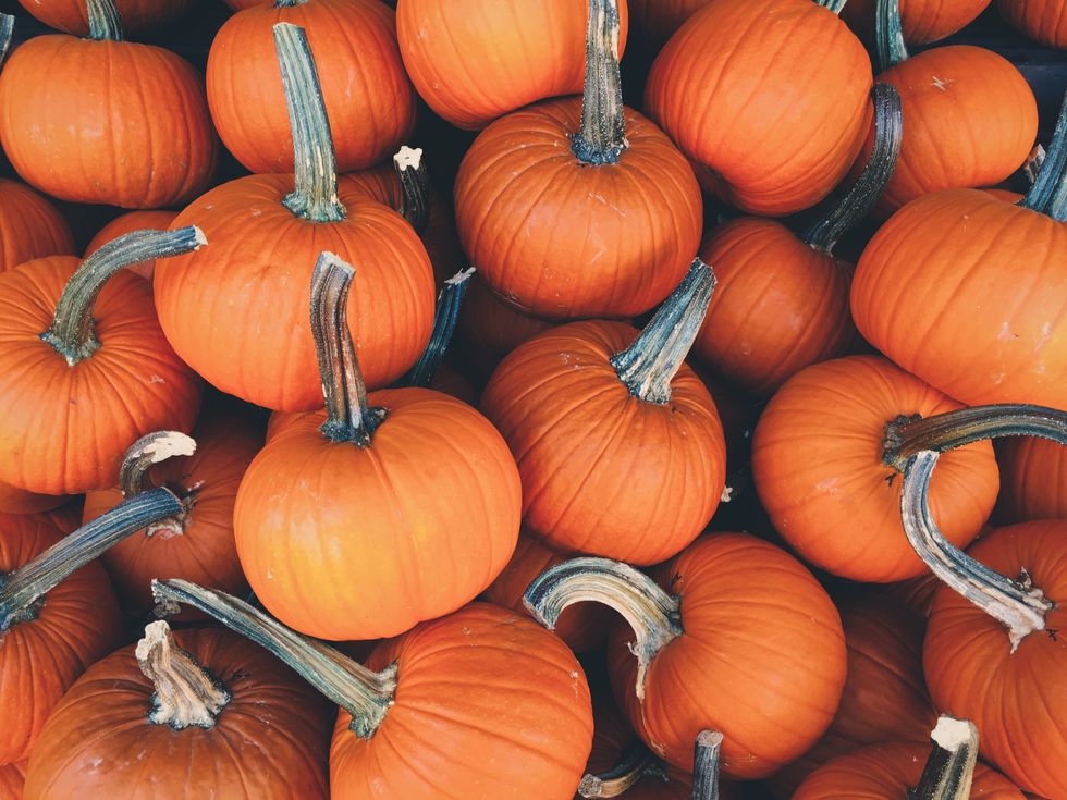 10 Things That Should Have Never Become Pumpkin Flavored