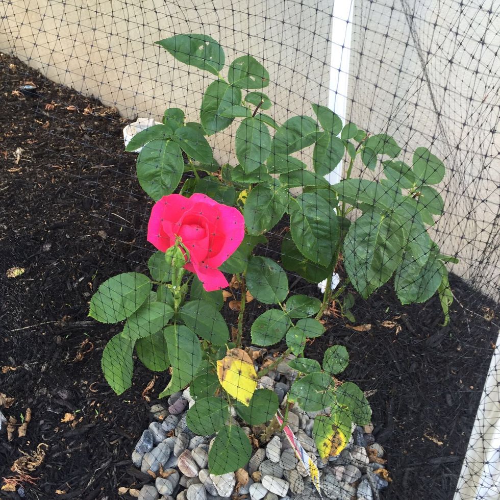 10 Things You Can Do To Improve Your Life