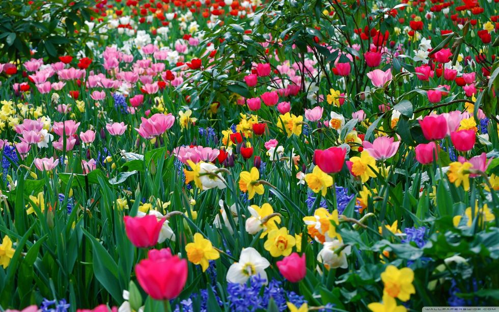 Out With The Old, In With The New