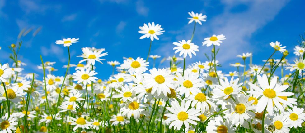 2017 Spring Playlist