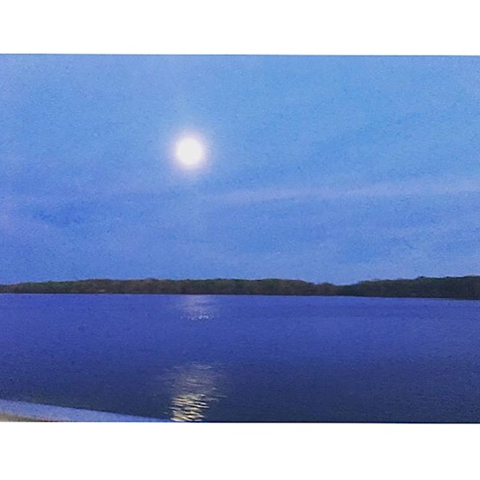 To The Suicide Survivor