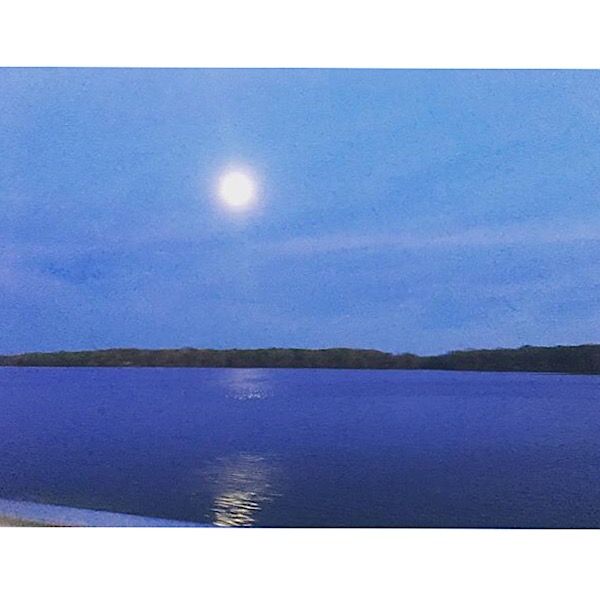 To The Suicide Survivor