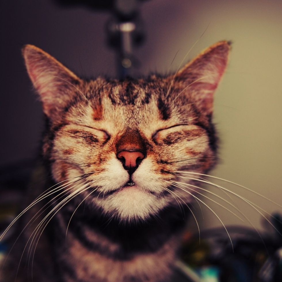 10 Things That Give Me Happy Chills