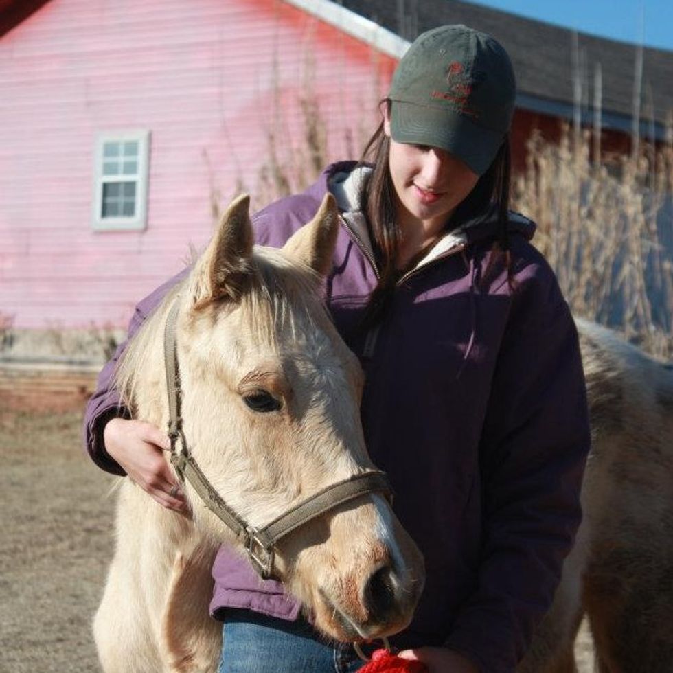 Ranching 101 For The Non-Rancher: A Pony Is Not A Baby Horse