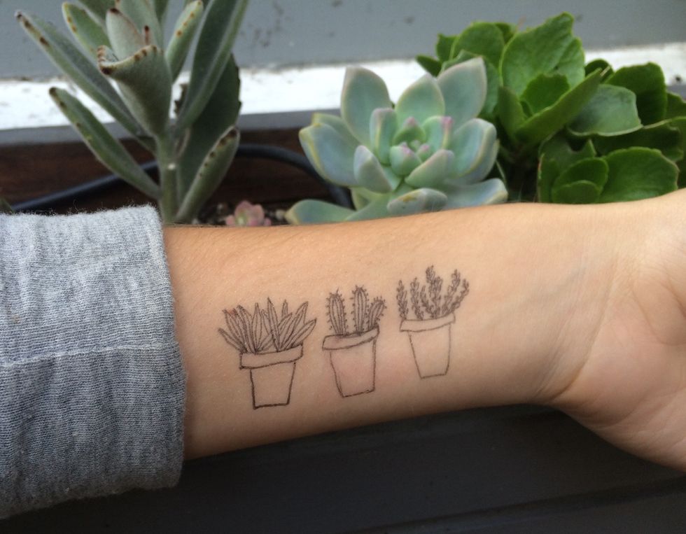 19 Things You Need If You're A Sucker For Succulents