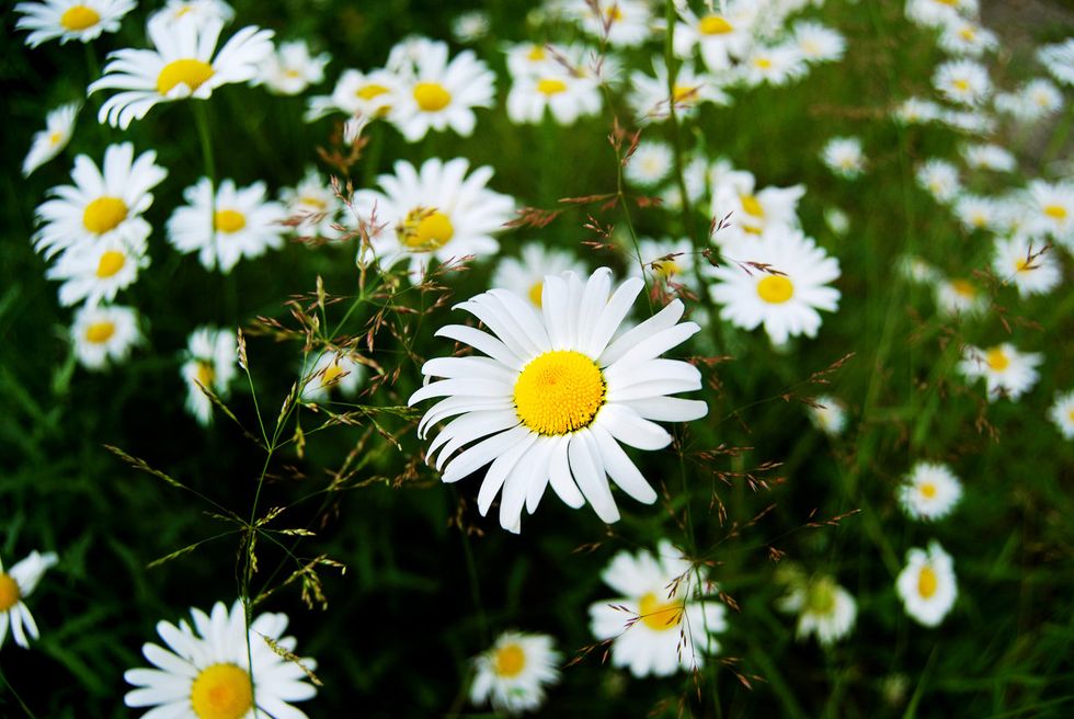 10 Reasons Why You're Lucky To Have An Aries In Your Life