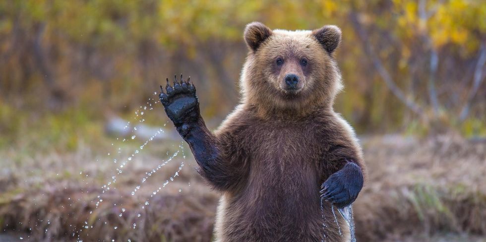 TO THE PERSON WHO CONSTANTLY TEARS OTHERS DOWN