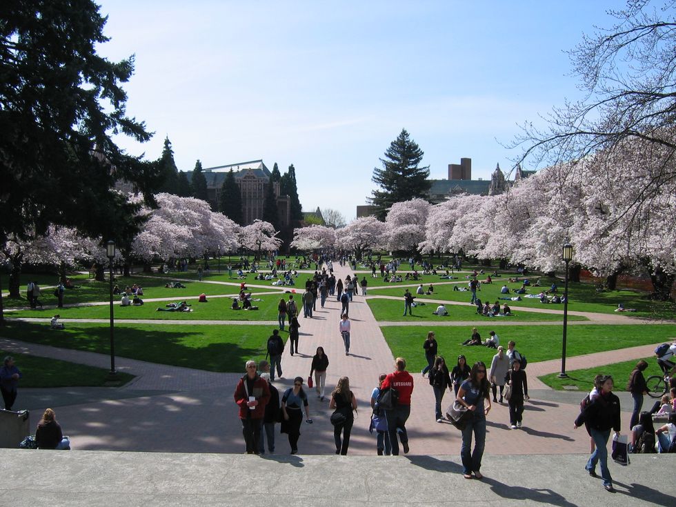 Four Ways To Balance Spring Fever And End Of Semester Projects