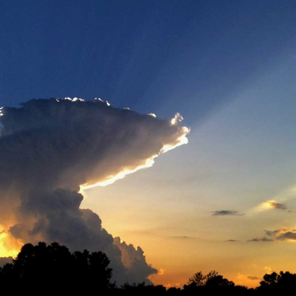 Spring In New England As Told By SpongeBob